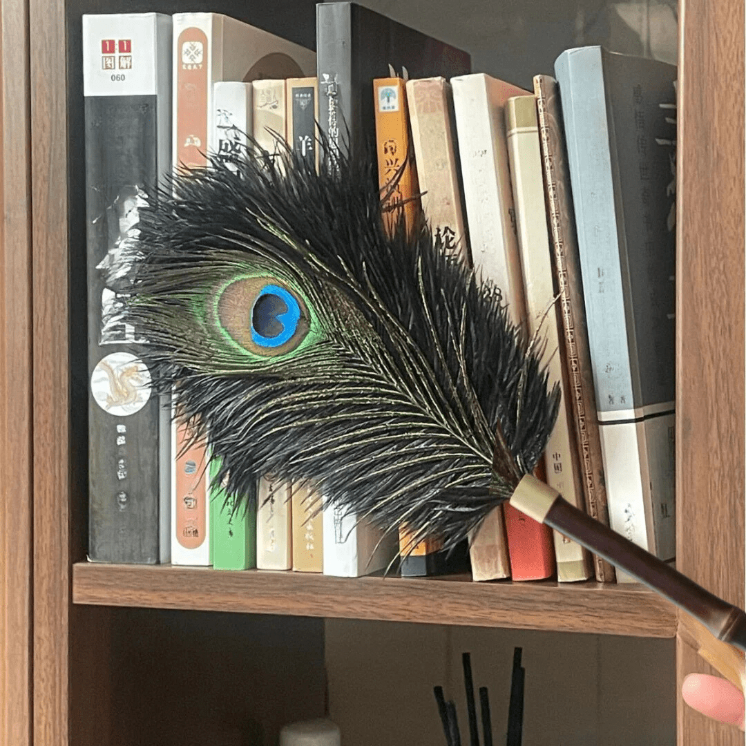 Peacock Feather Dust Removal Handle
