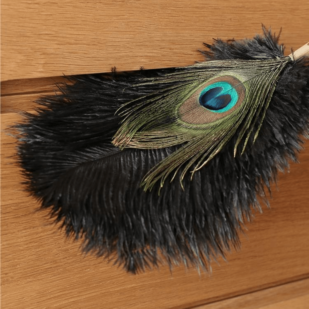 Peacock Feather Dust Removal Handle