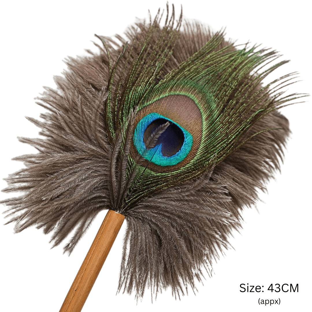 Peacock Feather Dust Removal Handle