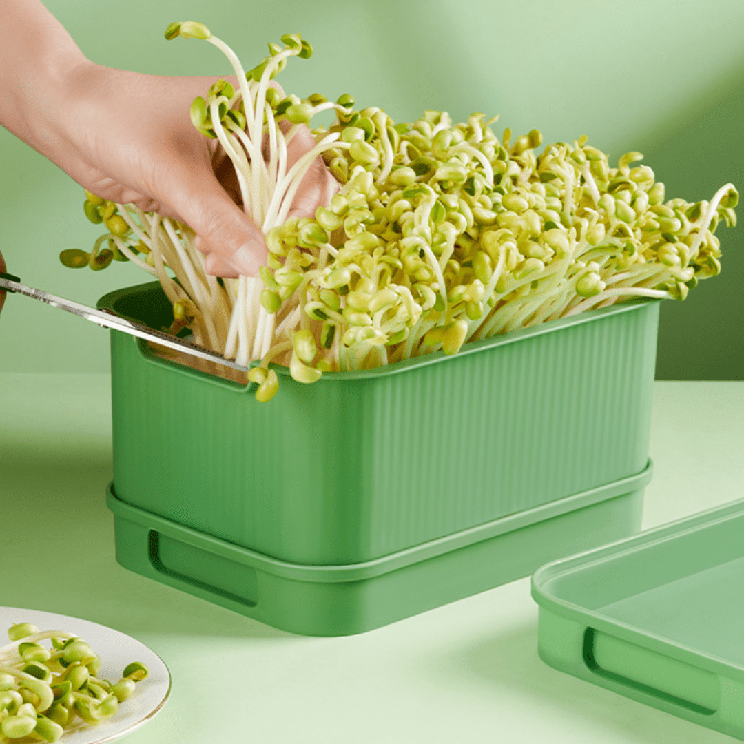 Fresh Roots Sprouting Container