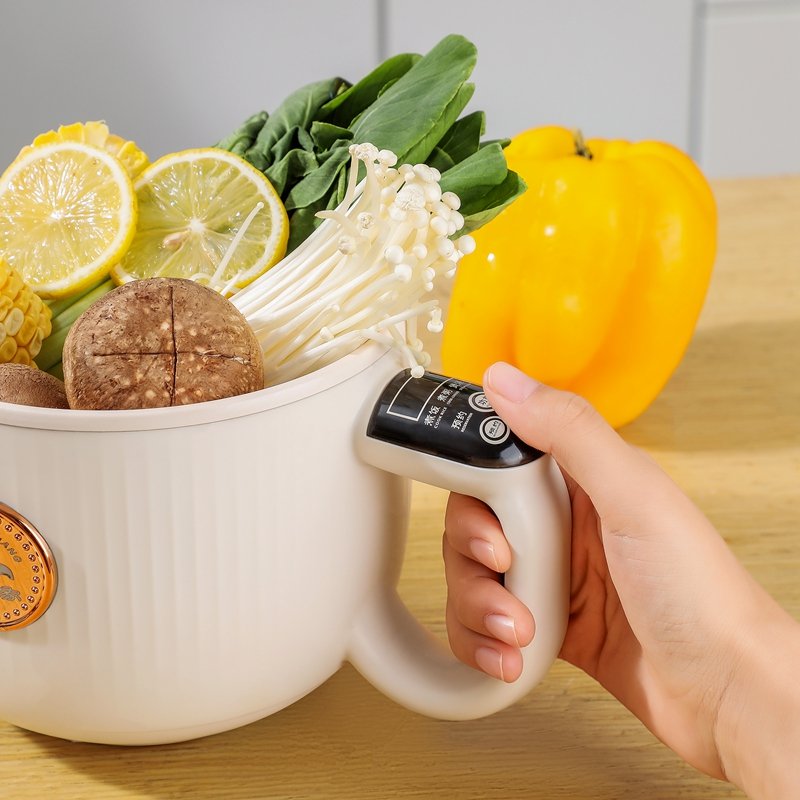Compact All-in-One Electric Cooker (Copy) TEST