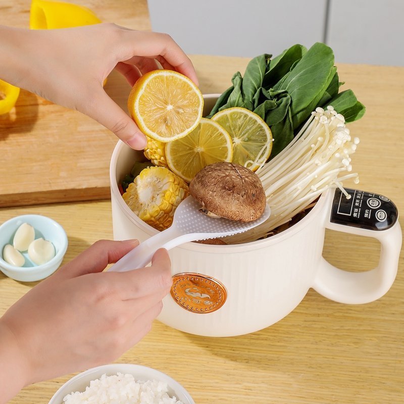 Compact All-in-One Electric Cooker (Copy) TEST