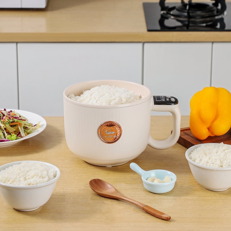 Compact All-in-One Electric Cooker (Copy) TEST
