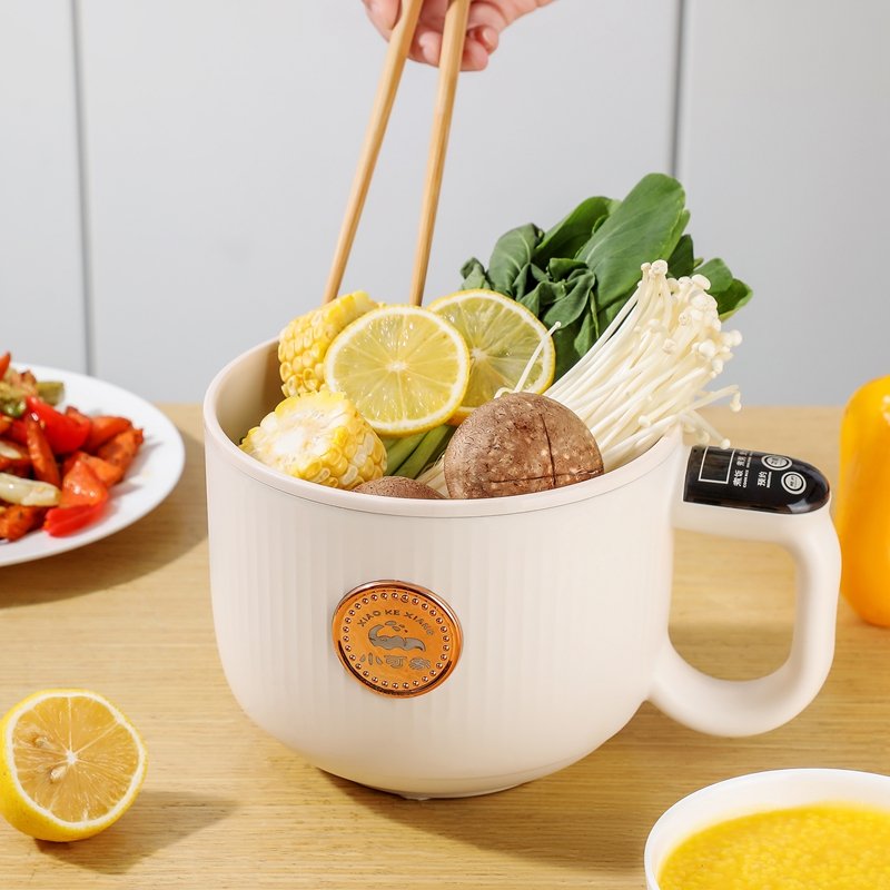 Compact All-in-One Electric Cooker (Copy) TEST