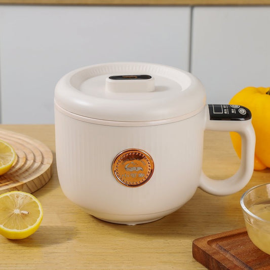 Compact All-in-One Electric Cooker (Copy) TEST